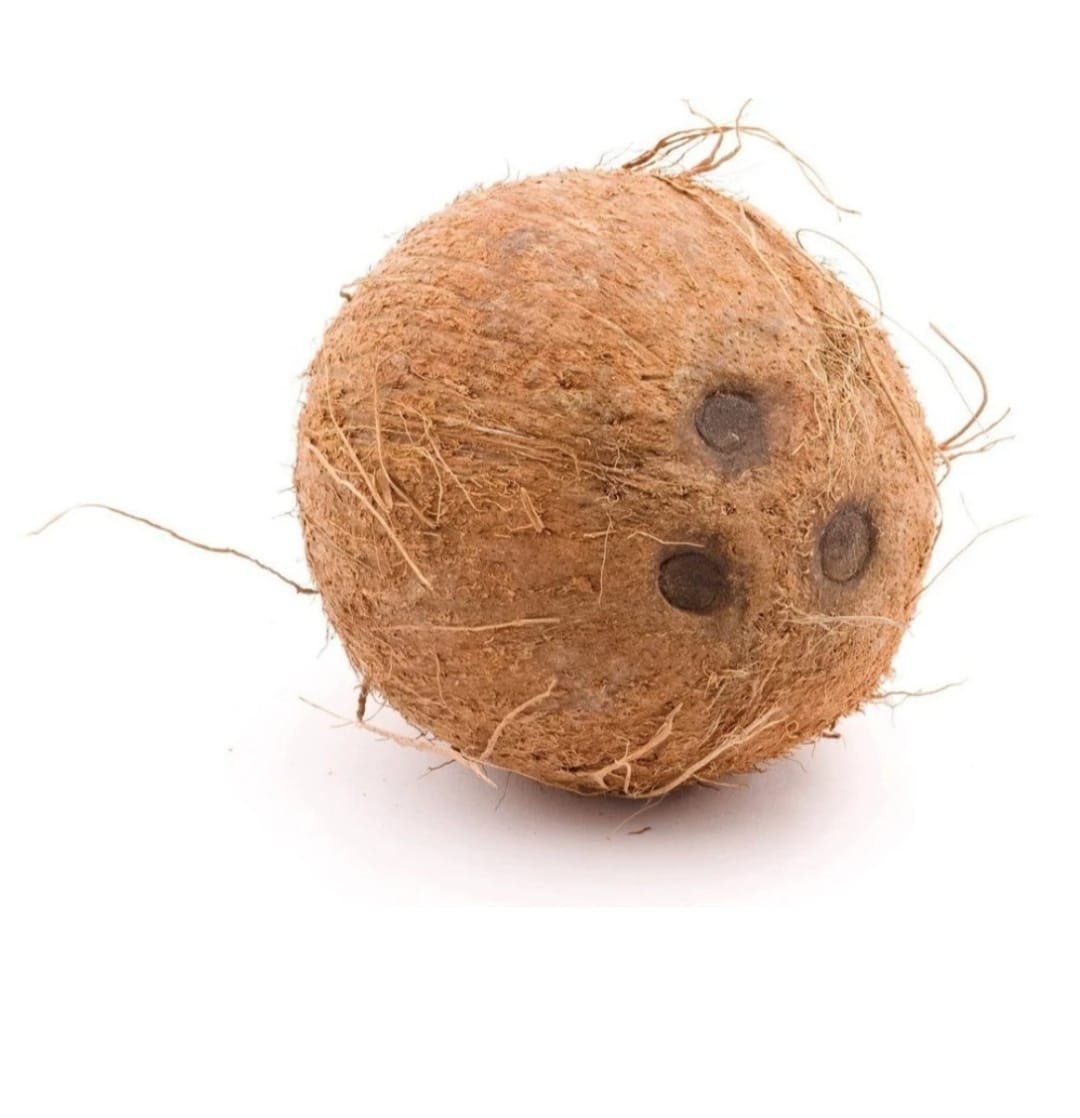 Premium Coconut